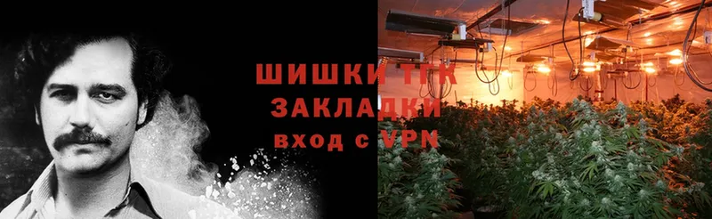 Шишки марихуана THC 21%  Горняк 